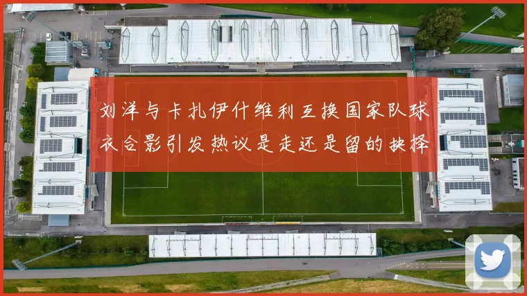 刘洋与卡扎伊什维利互换国家队球衣合影引发热议是走还是留的抉择时刻